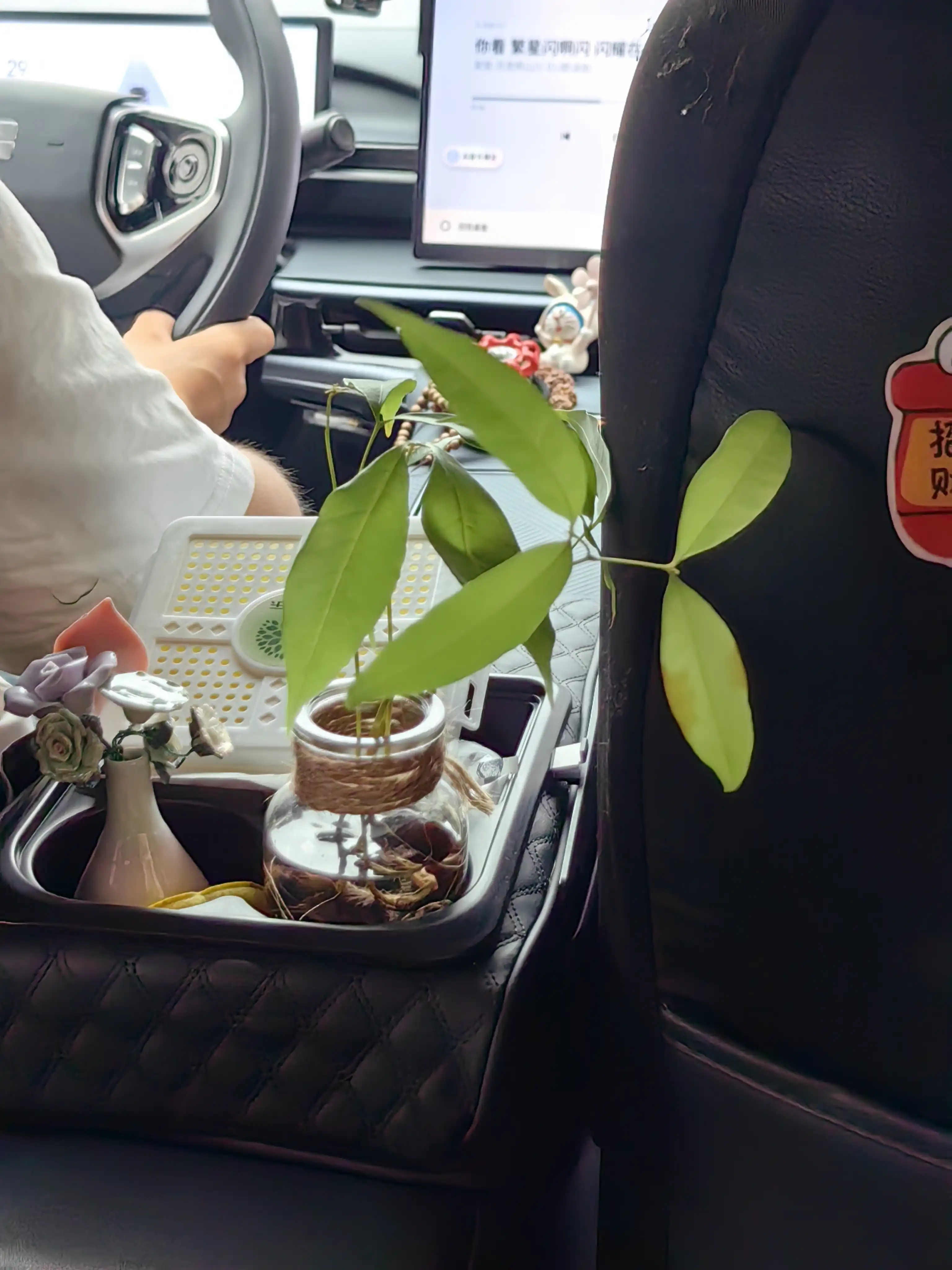 图片飞走了