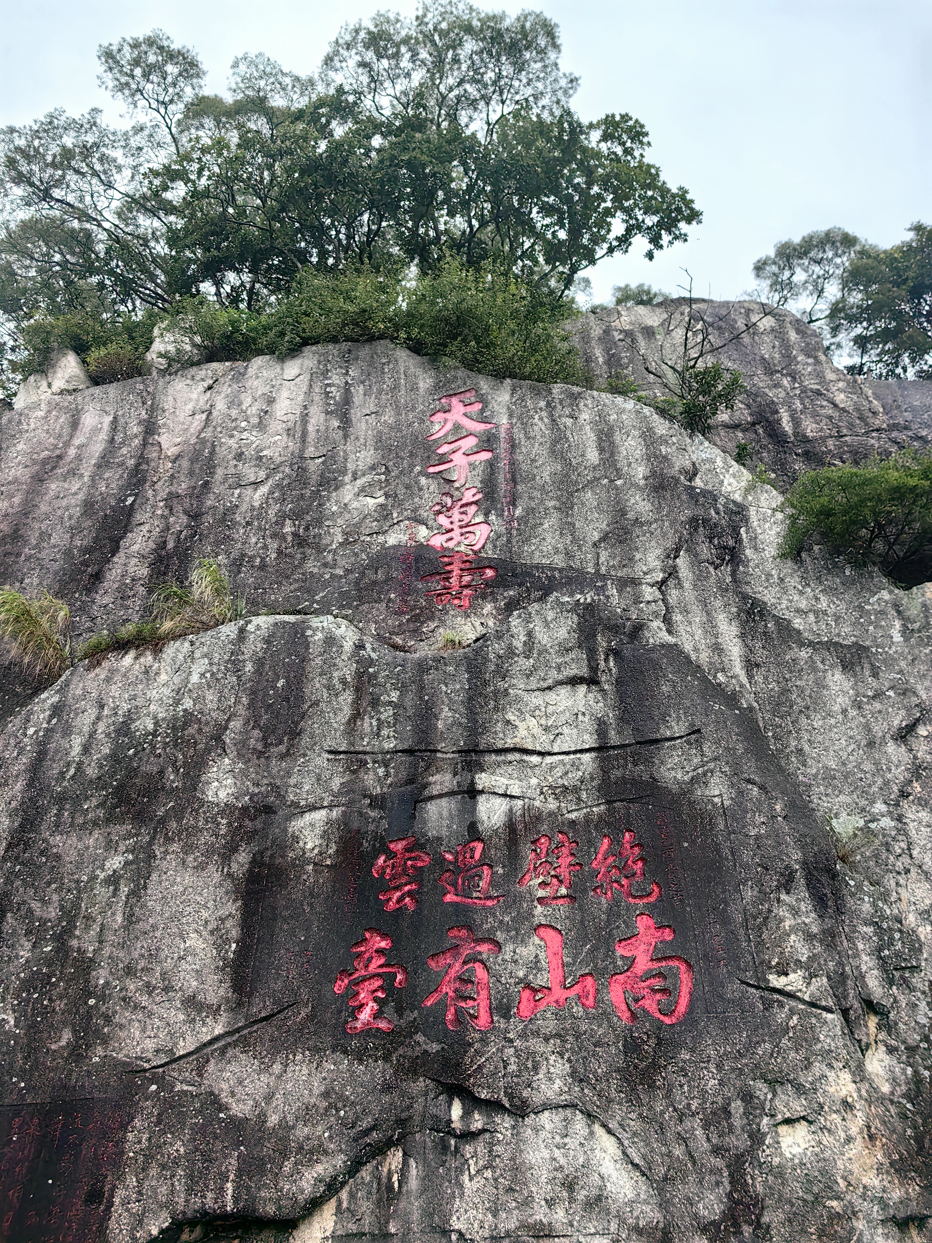 图片飞走了