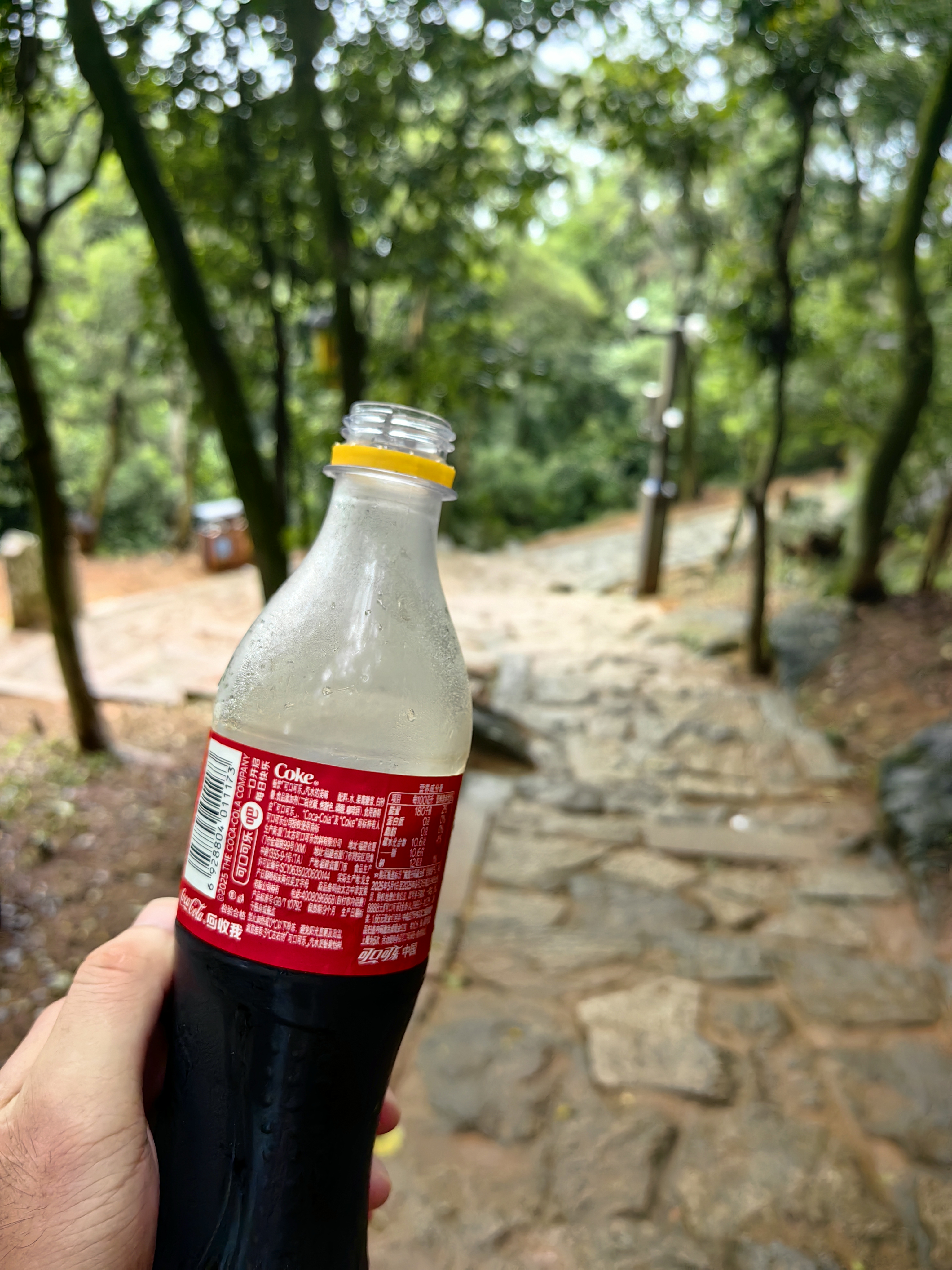 图片飞走了