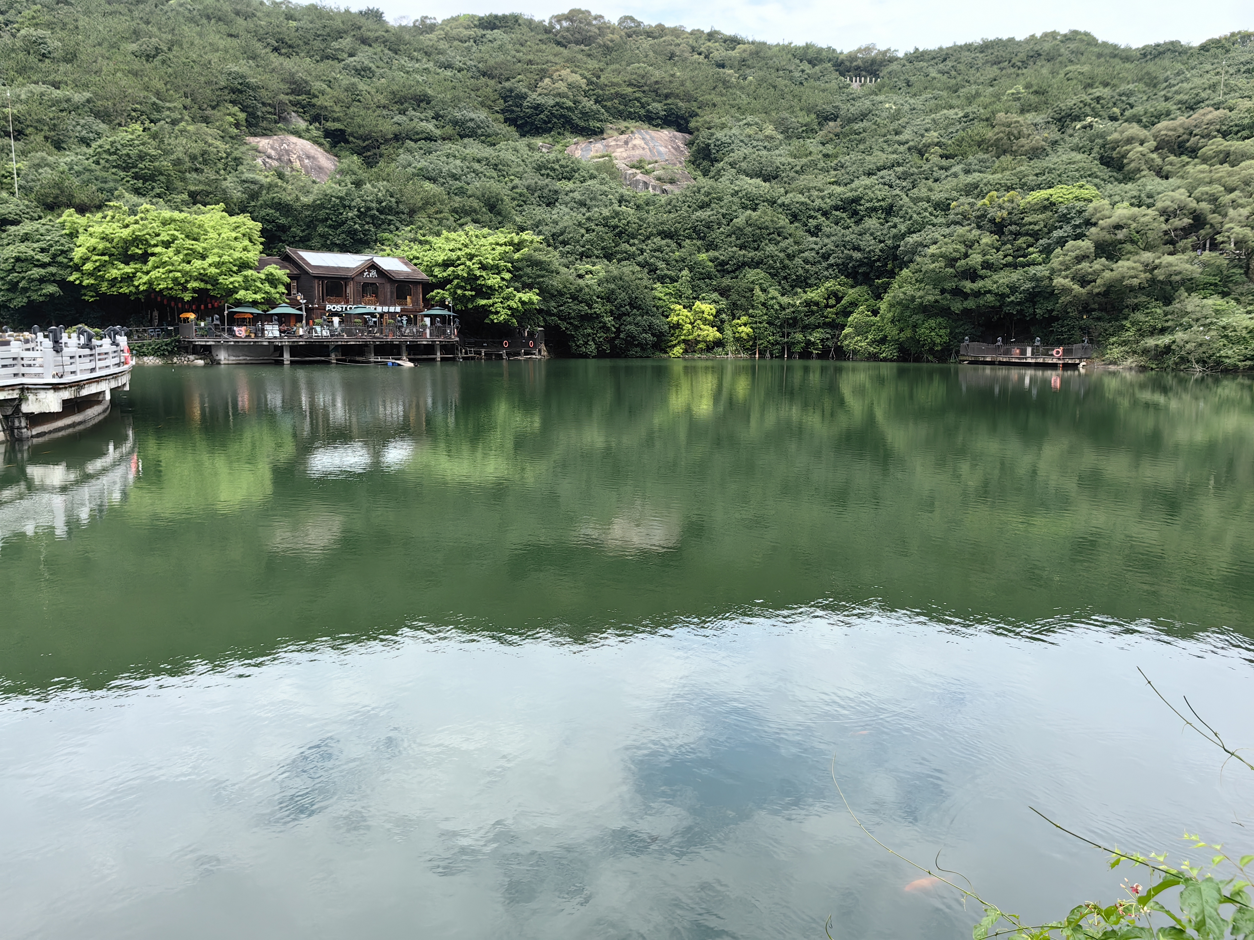 图片飞走了