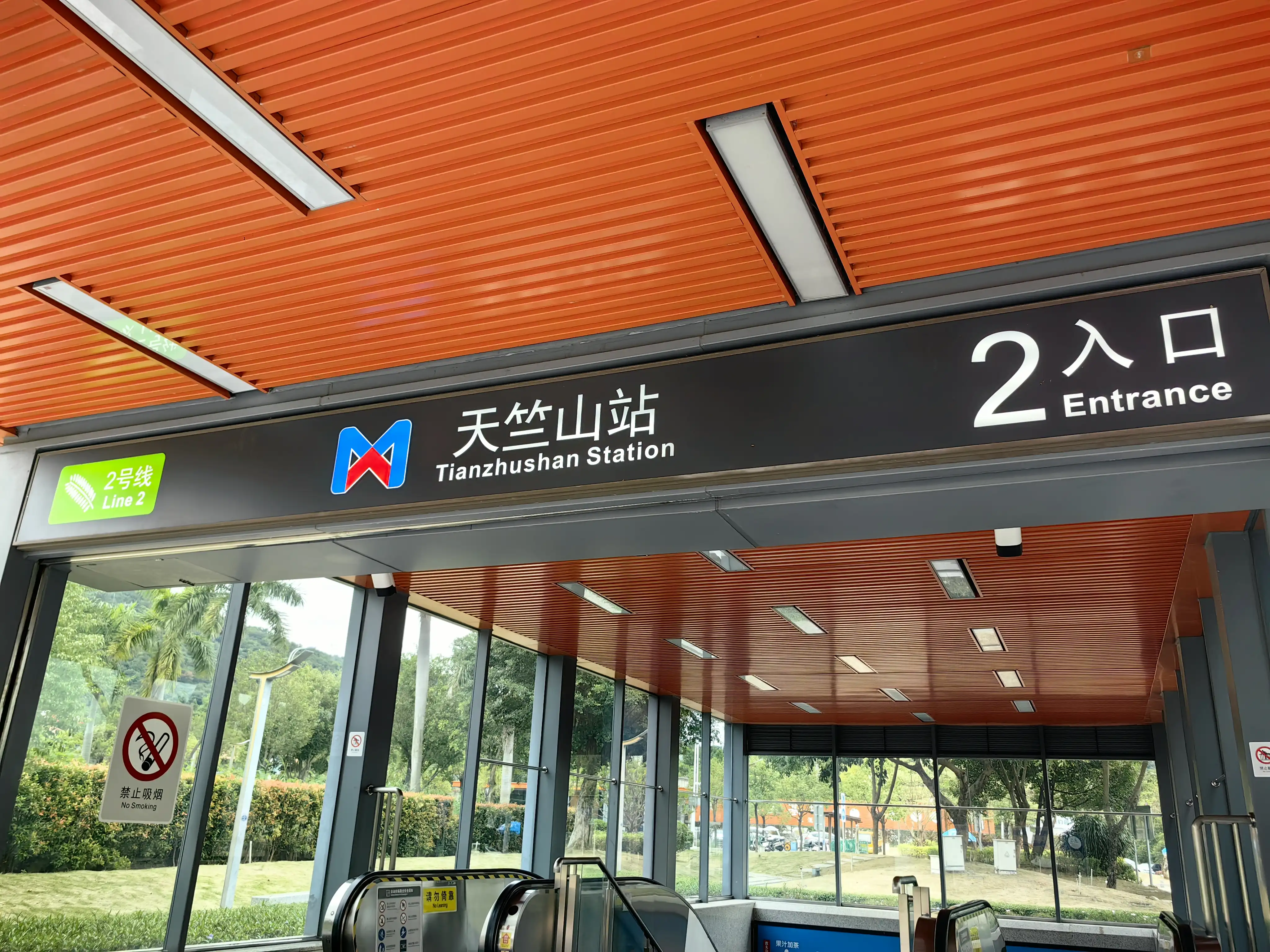 图片飞走了