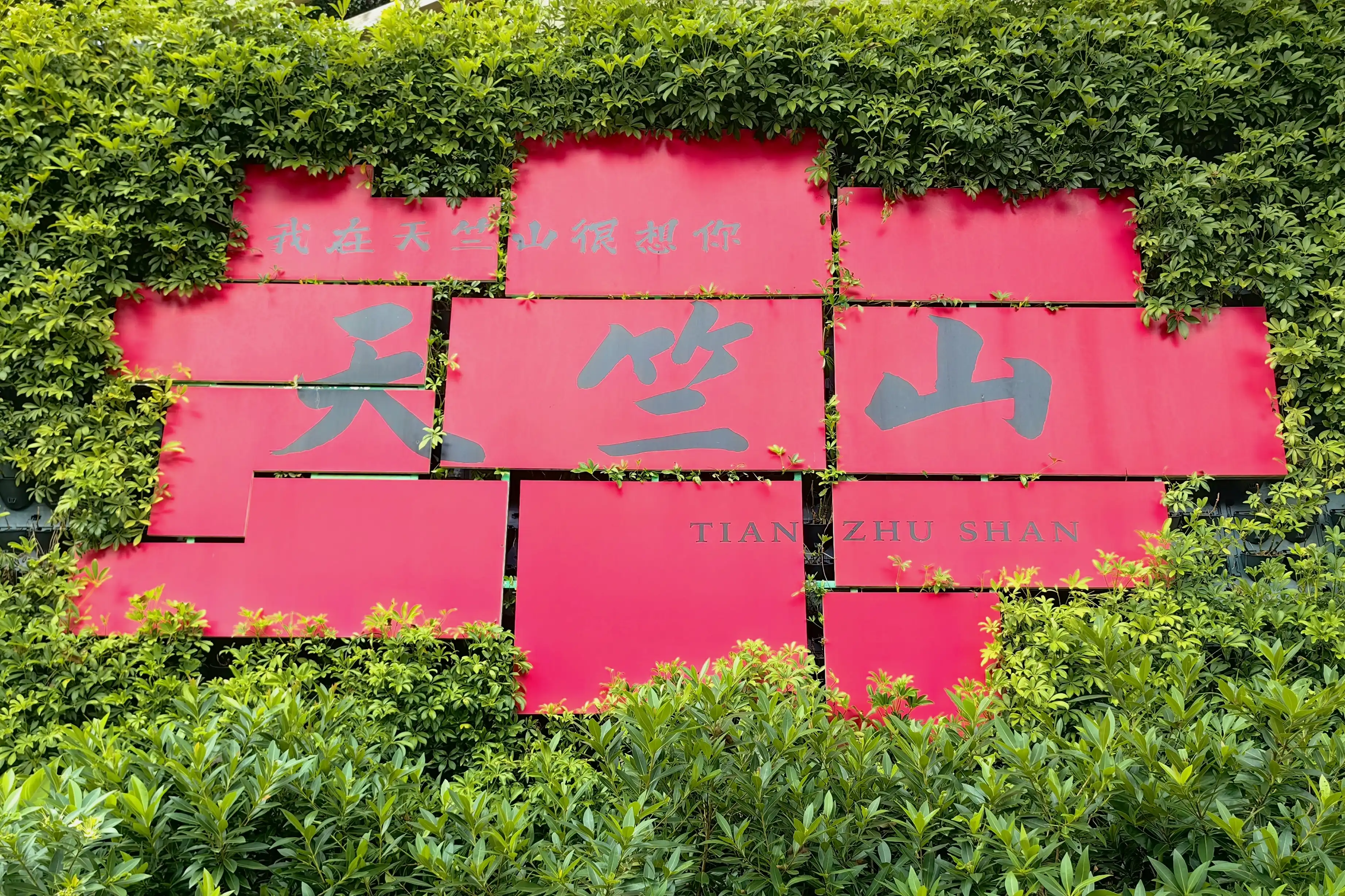图片飞走了