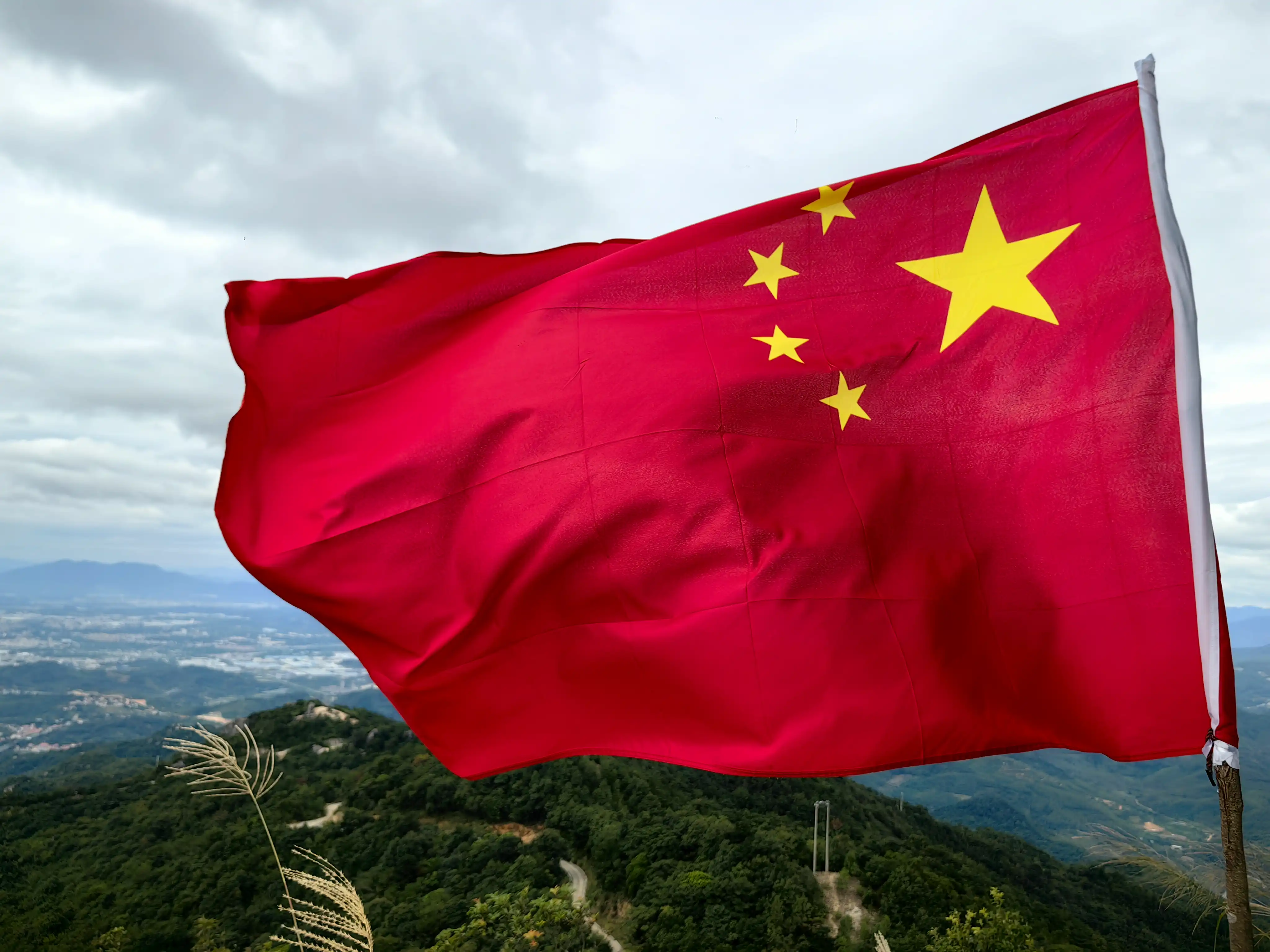 图片飞走了