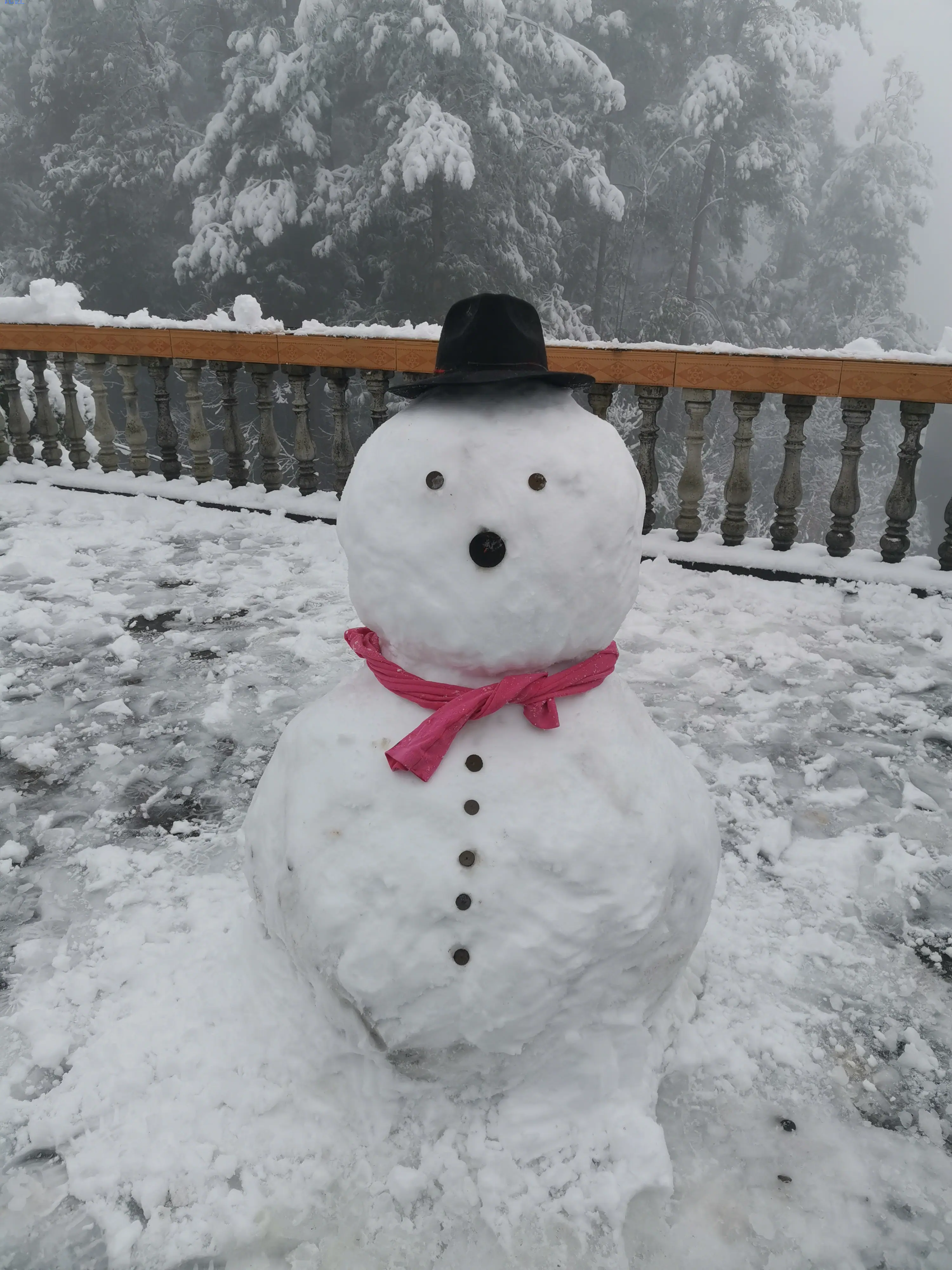 瓦匠不舟: 久违的雪