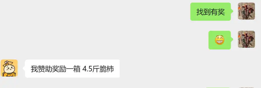 图片飞走了